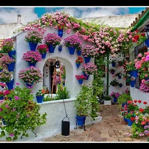 Aries Appartement